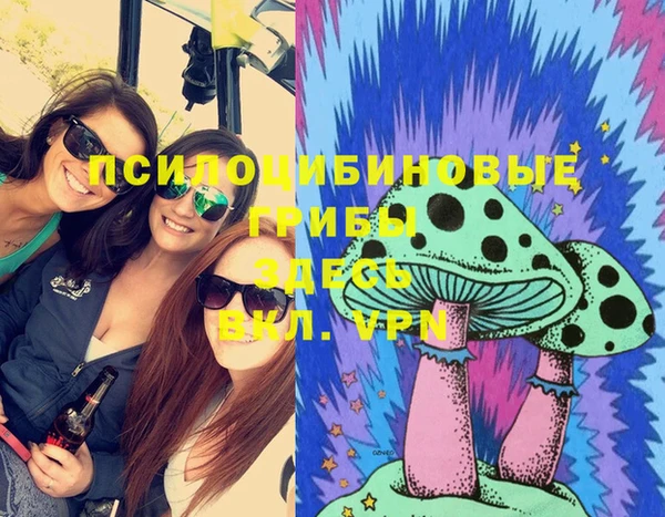 не бодяженный Алзамай