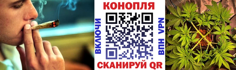 закладки Солнечногорск дарк нет как зайти Шишки марихуана Bruce Banner
